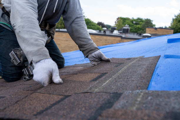 Best Roof Waterproofing Services  in Redlands, CA